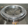 Rolling Bearing, SKF Bearing, Cross Rolling Bearing (XRE17020)